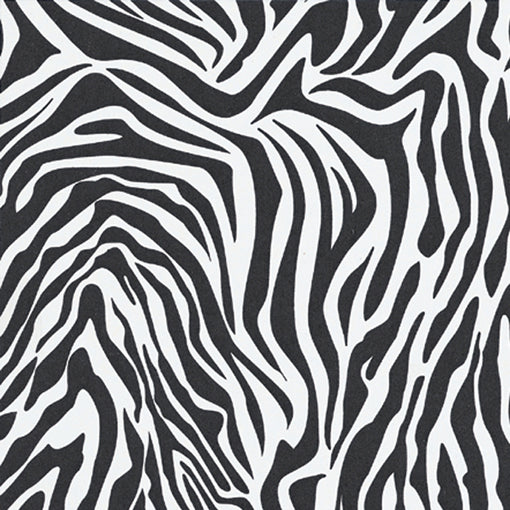 Zebra Tissue Paper